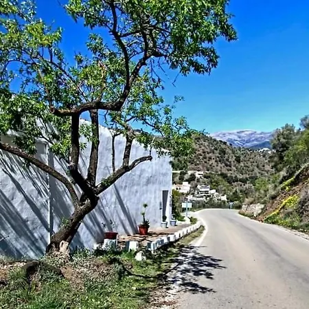 Holiday home El Almendro *
