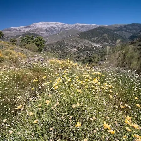 El Almendro * Árchez